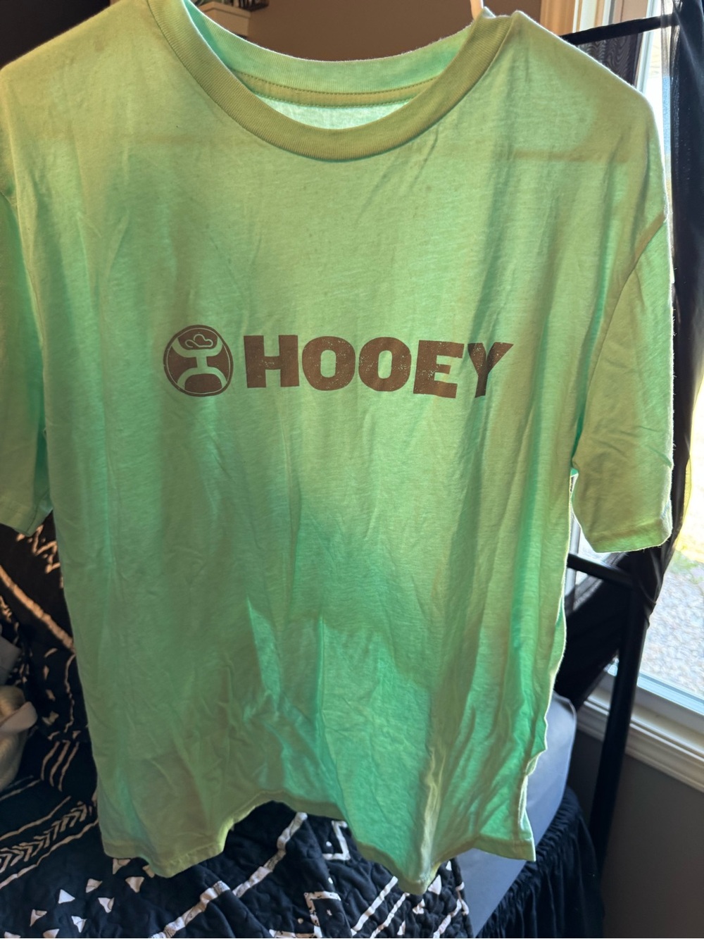 Hooey Mint Green Short Sleeve Logo Tee